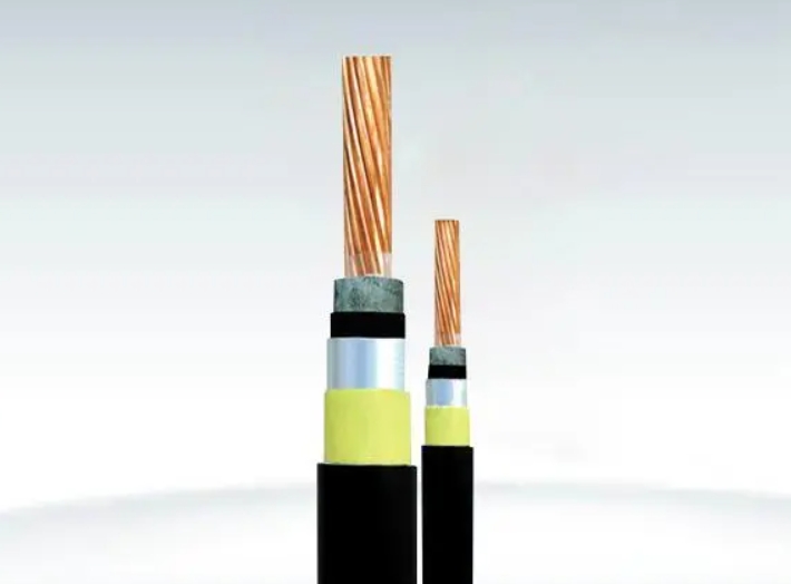 金聯(lián)宇電纜介紹電線電纜耐用性應(yīng)該取決于兩大方面.jpg 金聯(lián)宇電纜介紹電線電纜耐用性應(yīng)該取決于兩大方面.jpg